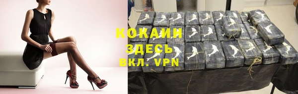 стаф Балахна