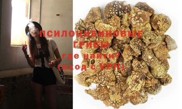 стаф Балахна