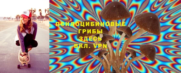 стаф Балахна