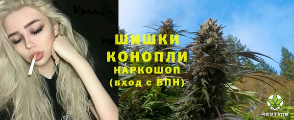 стаф Балахна