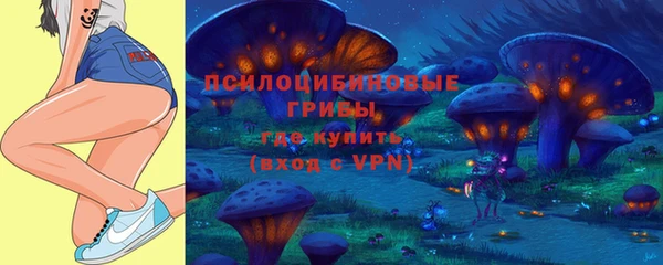стаф Балахна